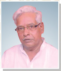 श्री. सहादूशेठ भिकाजी शेरकर